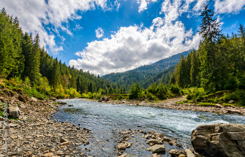  River among the forest in picturesque mountain landscape
