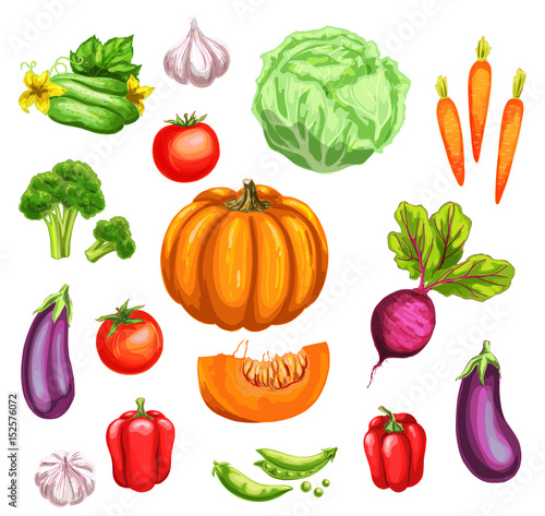 Vegetable watercolor set of fresh organic veggies