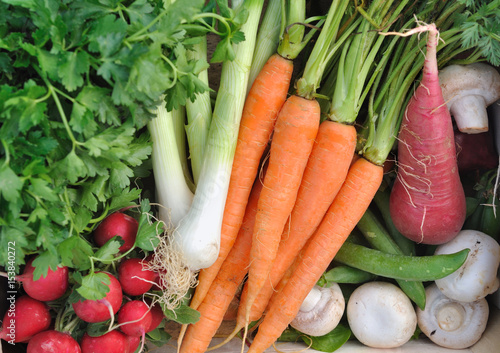 légumes crus, carottes, radis, oignons et champignons, 