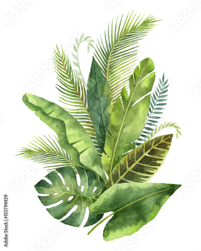 tropische-blatter-und-niederlassungen-des-aquarellblumenstrauses-lokalisiert-auf-weisem-hintergrund