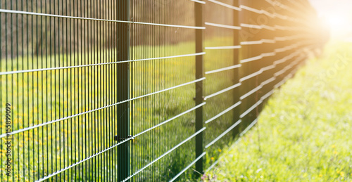 Metal fence leaving in perspective with the sun © science photo