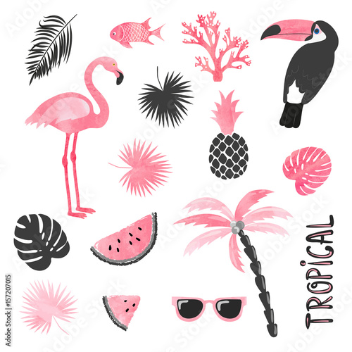 tropikalny-zestaw-w-kolorach-rozowym-i-czarnym-flamingo-tukan-arbuz-dlon-liscie-kolekcja-wektorowa
