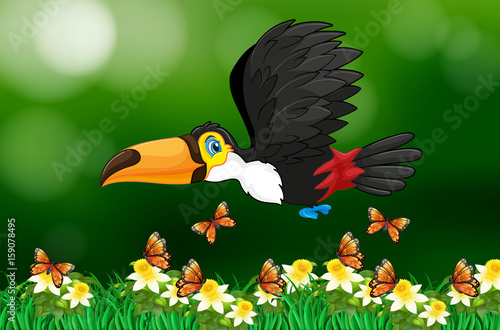tucan-pajaro-volando-en-el-jardin