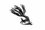 Abstract art painting golden fish life, Chinese Brush style painting golden fish in black and white. isolate fish with white background, include with path file.