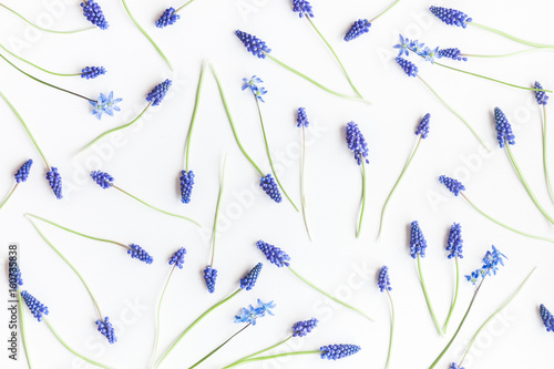 Lacobel Flowers composition. Pattern made of muscari flowers on white background. Flat lay, top view