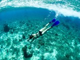 Snorkeling Cozemel