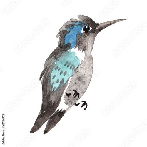 himmelvogel-colibri-in-wild-lebende-tiere-durch-die-aquarellart-lokalisiert-wilde-freiheit