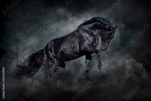 Obraz na płótnie Black stallion in motion against dark dust clubs