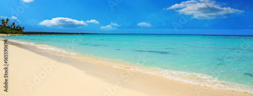 Fototapeta Caribbean sea and white sand beach.