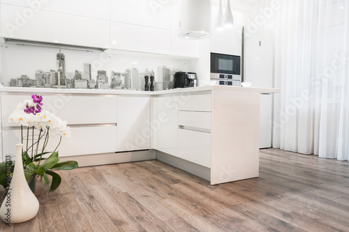 Lacobel White modern kitchen interior.