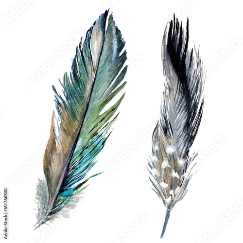 aquarellvogelfeder-vom-flugel-getrennt-aquarelle-feder-fur-hintergrund-textur-wrapper-muster