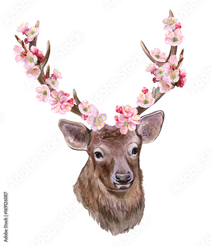  Deer with blooming horns isolated on white background. Spring branches. Watercolor. illustration