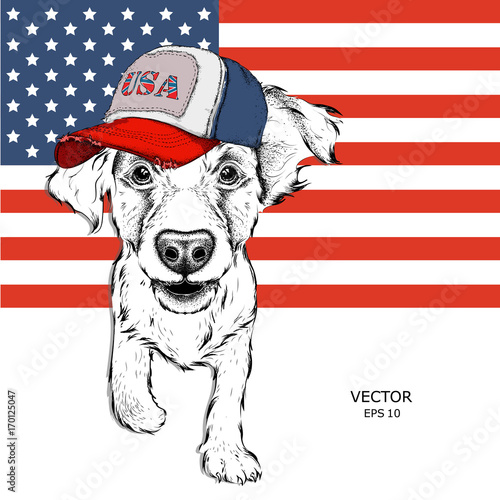 cocker-spaniel-w-amerykanskiej-czapce-szczeniak-na-tle-amerykanskiej-flagi-ilustracji-wektorowych