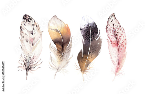 hand-drawn-watercolor-paintings-vibrant-feather-set-boho-style-wings-illustration-isolated-on-white-bird-fly-design-for-t-shirt-invitation-wedding-card-rustic-owl-decoration