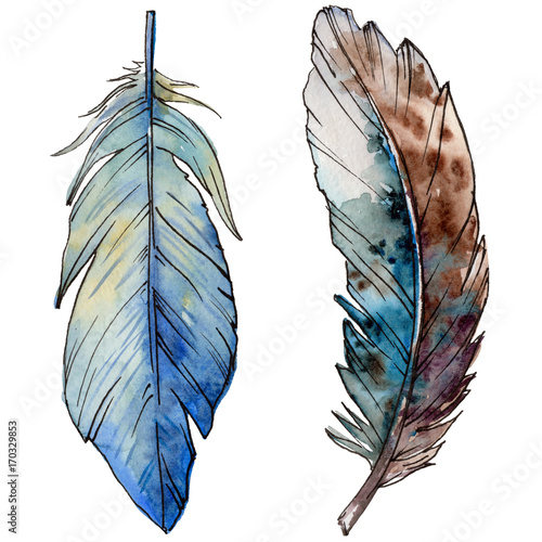 aquarellvogelfeder-vom-flugel-getrennt-aquarelle-feder-fur-hintergrund-textur-wrapper-muster