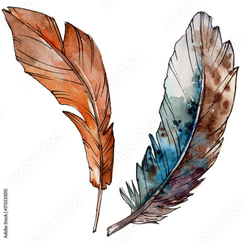 aquarellvogelfeder-vom-flugel-getrennt-aquarelle-feder-fur-hintergrund-textur-wrapper-muster