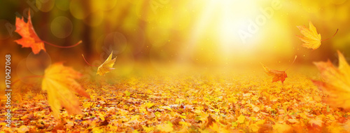 Abstract autumn background © Elena Schweitzer