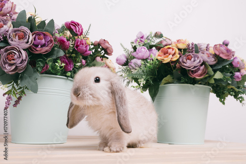 lapins-decoratifs-de-paques