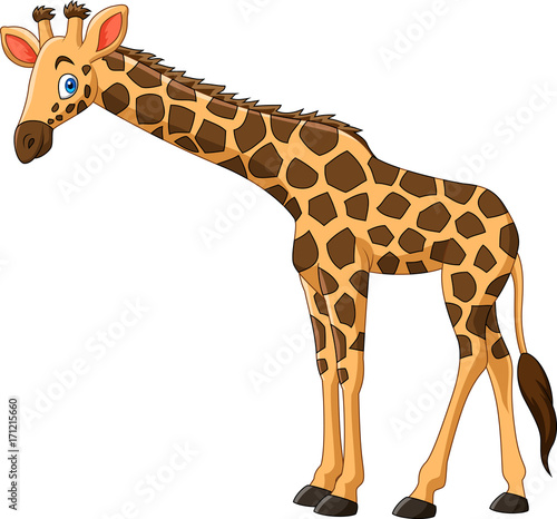 Obraz na płótnie Cartoon giraffe isolated on white background