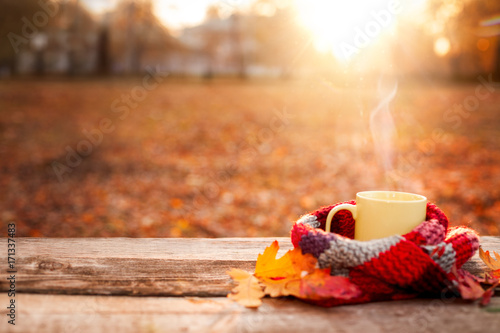 Tea mug covered with warm scarf on wooden surface