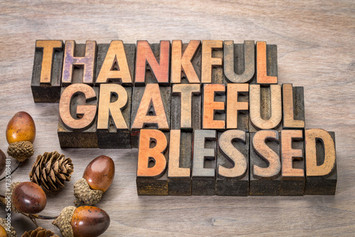 thankful, grateful, blessed - Thanksgiving theme © MarekPhotoDesign.com