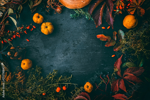 Thanksgiving autumn background © mahony