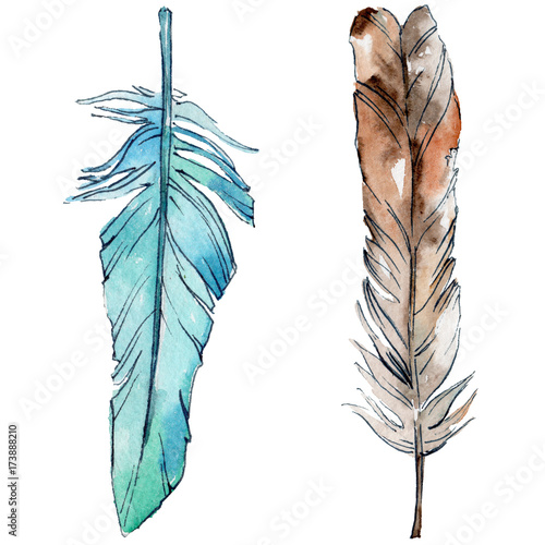 aquarellvogelfeder-vom-flugel-getrennt-aquarelle-feder-fur-hintergrund-textur-wrapper-muster
