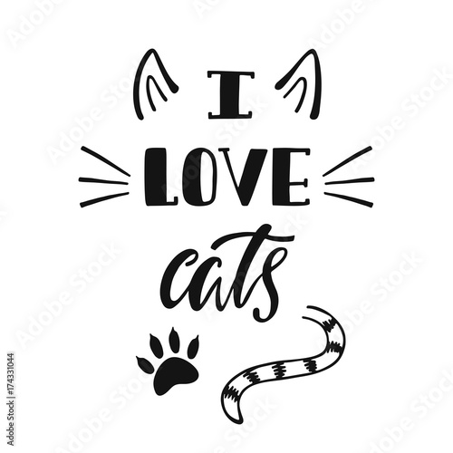 Obraz na płótnie I love cats. Handwritten inspirational quote about cat.