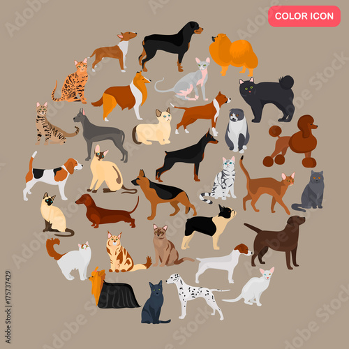 set-of-different-cats-and-dogs-breeds-color-flat-icons