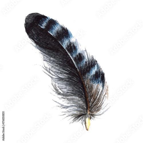 aquarellvogelfeder-vom-flugel-getrennt-aquarelle-feder-fur-hintergrund-textur-wrapper-muster