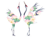 Watercolor print with crane of lotus flowers. Japanese hand drawn illustration