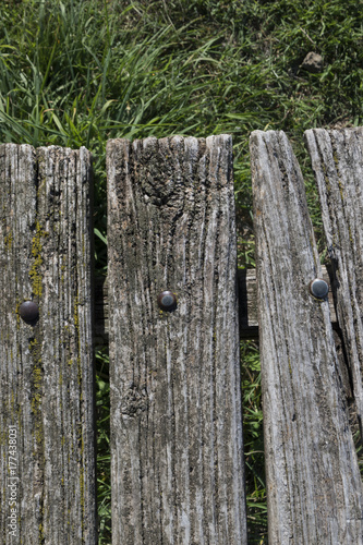 sfondo legno invecchiato con erba 