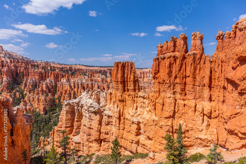 Beautiful Landscape Green Pine Trees On Rock Slopes Scenic View Of Beautiful Landscape Green Pine Trees On Rock Slopes Scenic View Of The Canyon