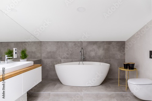 Fototapeta Oval bathtub against grey glaze