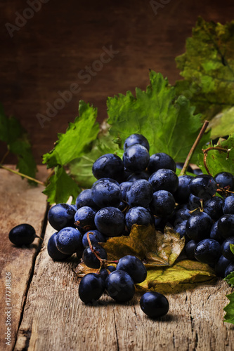 Blue wine grapes with green leaves, rustic still life, selective focus