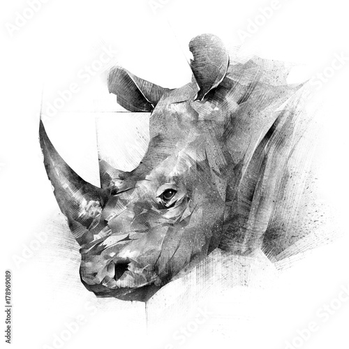 Obraz Fotograficzny face painted rhinoceros animal on white background