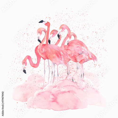 akwarela-flamingi-z-splash-recznie-rysowane-na-bialym-tle