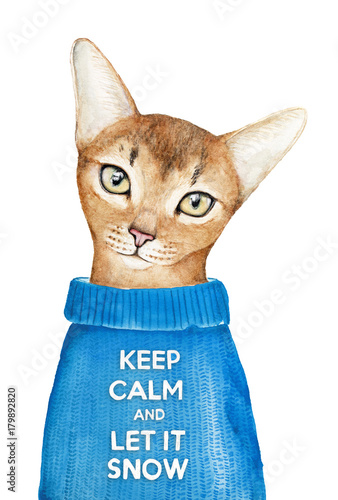 projekt-karty-z-pozdrowieniami-z-wakacji-zimowych-quot-let-it-snow-quot-sliczny-kot-cieply-niebieski-sweter-ze-slynnym-napisem-quot-keep-calm-quot-recznie-malowane-akwarela-ilustracja-na-bialym-tle