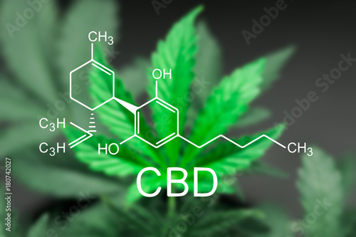 A beautiful sheet of cannabis marijuana in the defocus with the image of the formula CBD © cendeced
