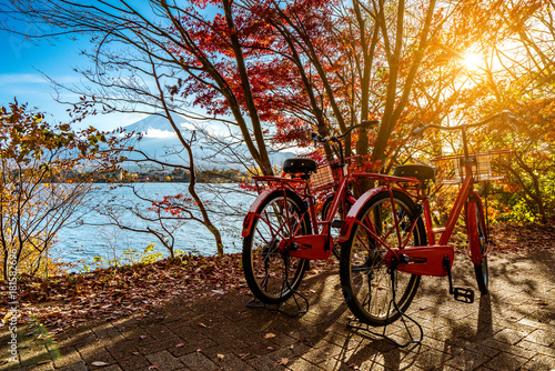 Plakat foto Two red bicycle at Kawaguchiko Lake, background is Fuji san in Japan, autumn season.