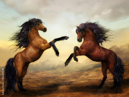 Obraz na płótnie Horses