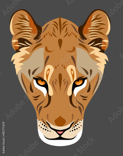 Portrait of a lioness