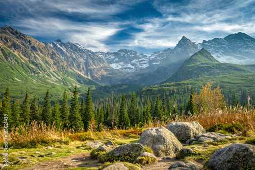 do-salonu-pejzaz-gor-tatry