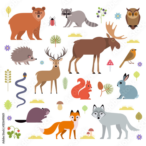 Vector illustration of forest animals: moose, deer, bear, hedgehog, rabbit, squirrel, beaver, wolf, fox, raccoon, owl, grass snake, isolated on white background. © nadzeya26