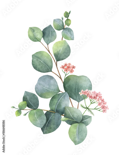 aquarellvektorblumenstraus-mit-grunen-eukalyptusblattern-und-niederlassungen