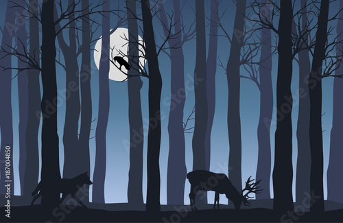 Vector flat illustration of night forest landscape with silhouettes of trees and animals with shining fulll moon