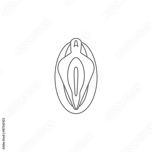 vagina line icon body part element premium quality graphic design simple body outline