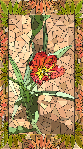 wektorowa-ilustracja-czerwony-tulipan