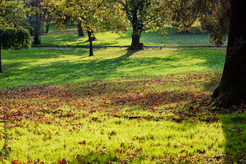 kosutnjak-park-belgrad-serbia