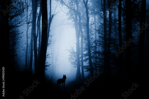 wolf-silhouette-im-dunklen-fantasy-wald